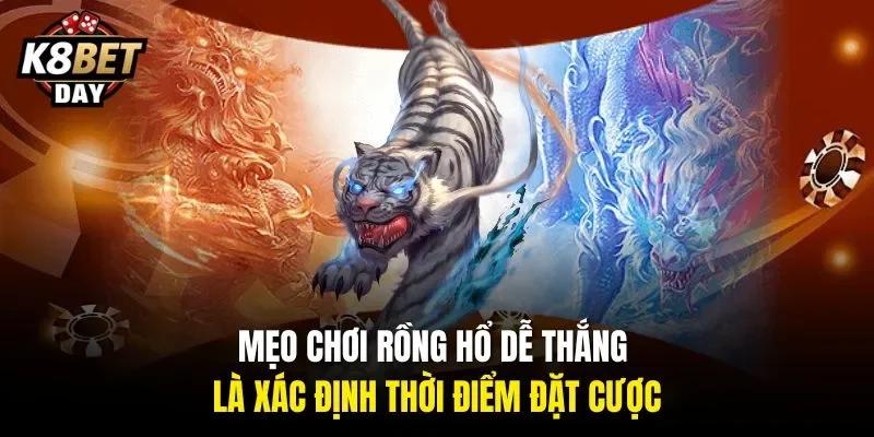 mẹo chơi rồng hổ